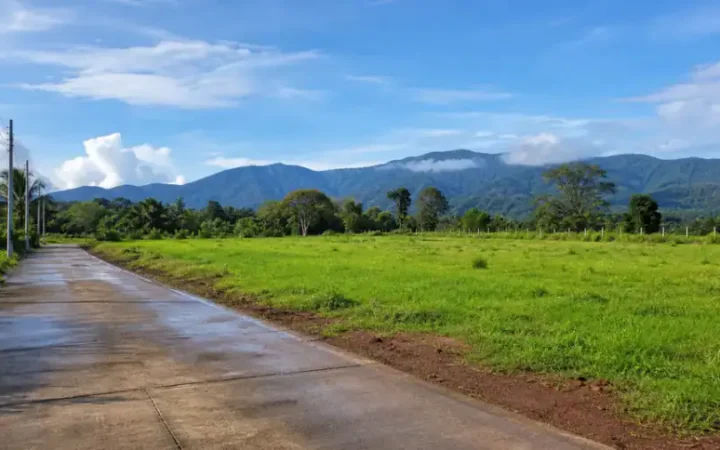 ภาพตัวอย่างที่ดินสีเขียววิวภูเขาในอำเภอหางดงเชียงใหม่