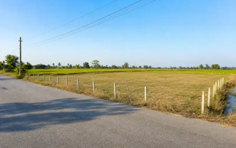 ที่ดินติดถนนท้องถิ่น จังหวัดบึงกาฬ